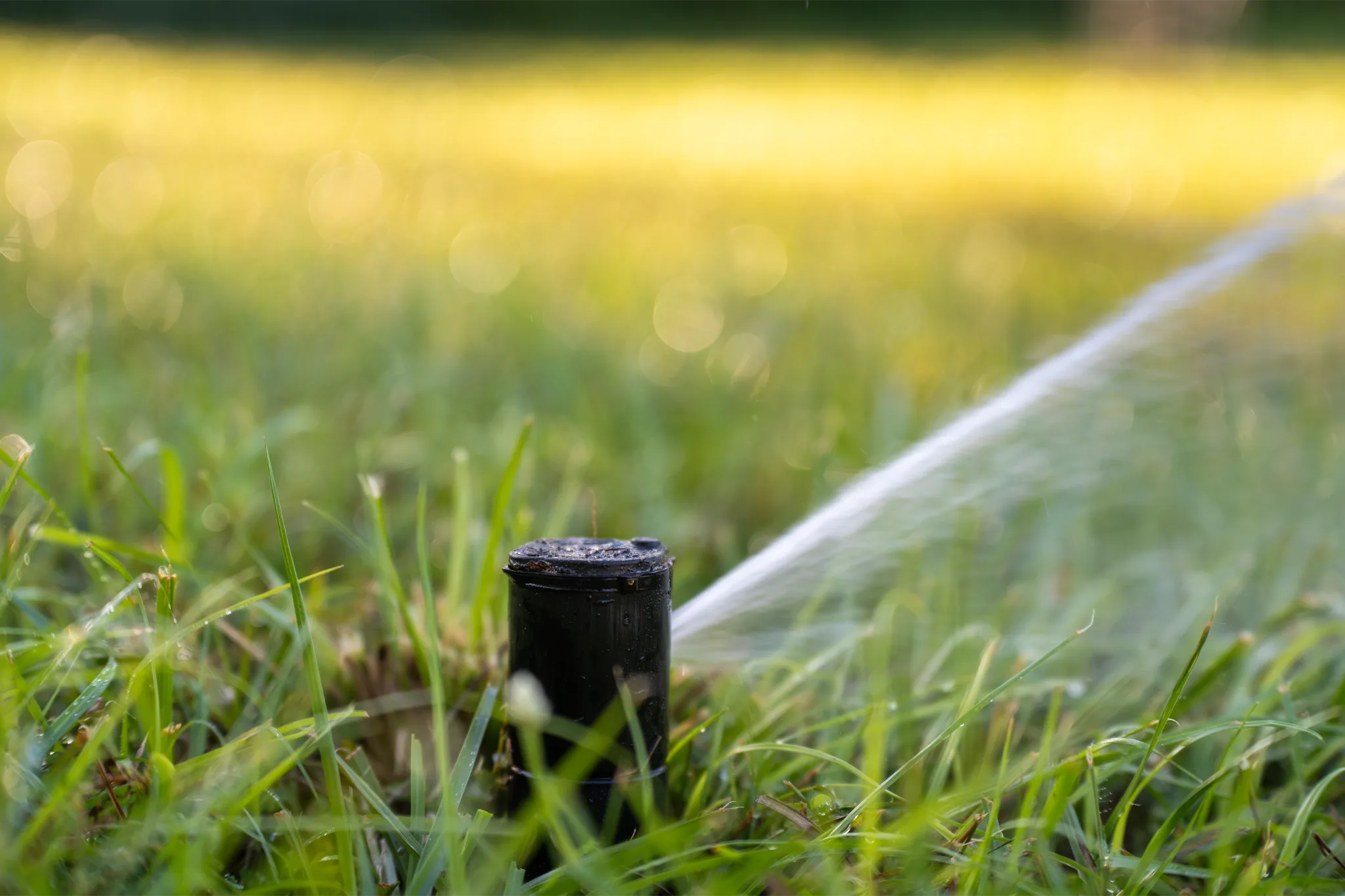 Irrigação da Grama Esmeralda